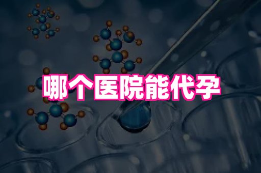 国际助孕网站 2
