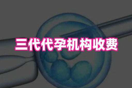 国际助孕网站 4